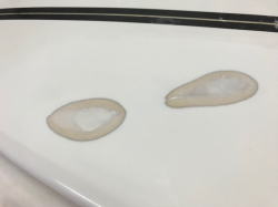 �G�|�L�V �A�������b�N �T���_�[�{���g 52_8